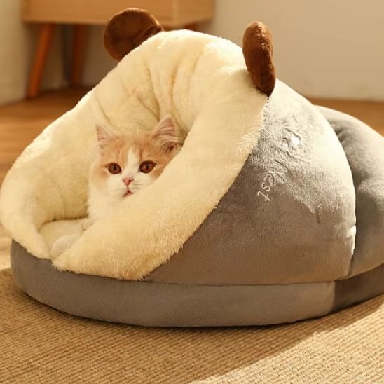 chat blotti niche a chat