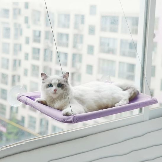 hamac chat fenetre violet avec ventouses