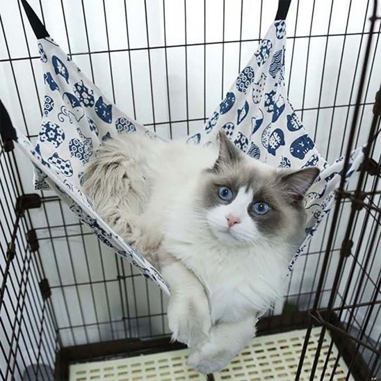chat couche hamac chat confortable