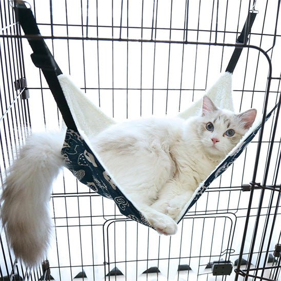 chat blanc hamac chat suspendu