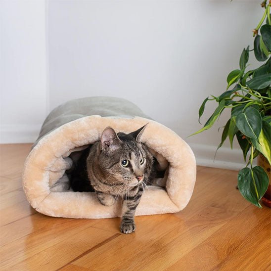 niche chat velours gris