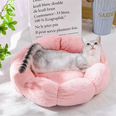 animal allonge coussin pour chat