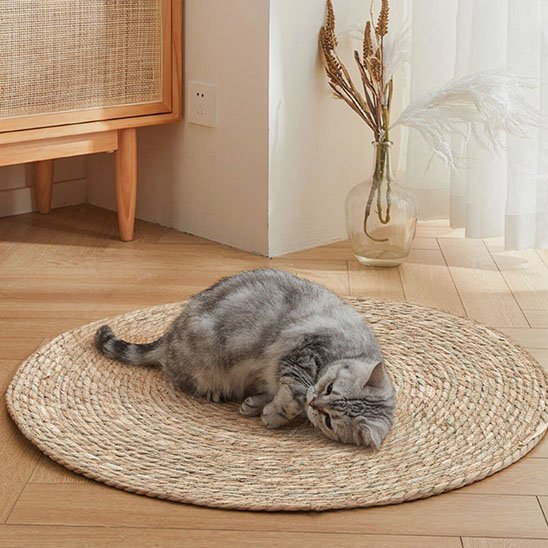 chat endormi sur Tapis griffoir chat