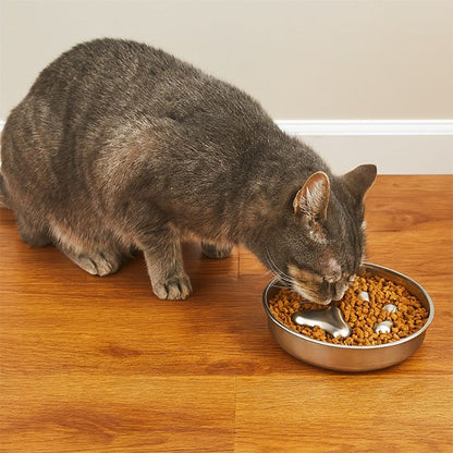 Chat mange gamelle anti glouton chat parcours alimentaire pour alimentation contrôlée"