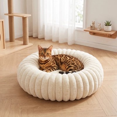 chaton endormi dans un coussin pour Chat rond