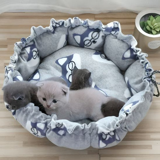 coussin a chat adapte chaton