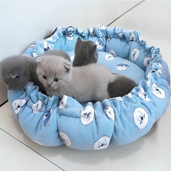 coussin a chat rembourre motif ours