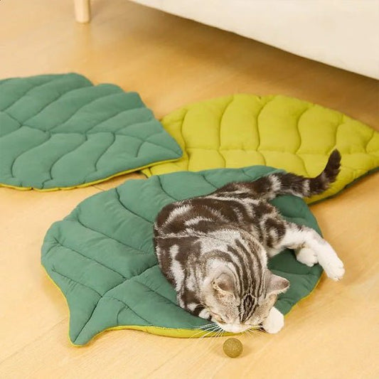 coussin chat tapis feuille
