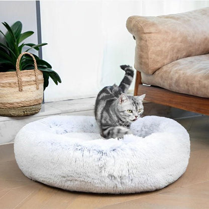 Coussin Chat | Miaoudoux™