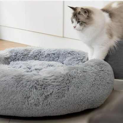 Coussin Chat | Miaoudoux™