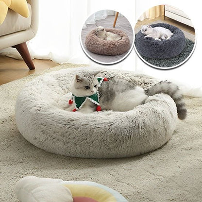 Coussin Chat | Miaoudoux™