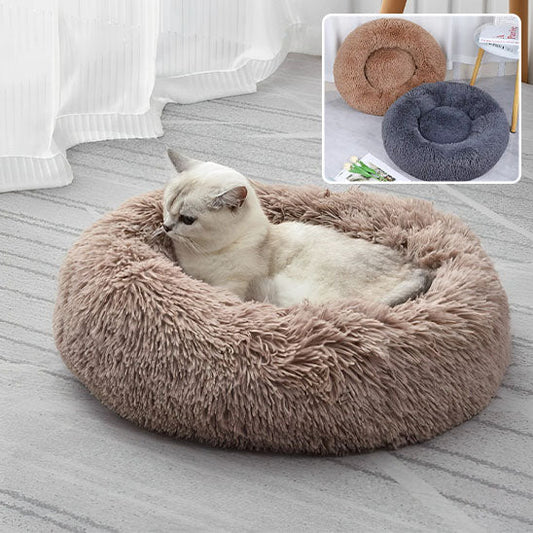coussin chat miaoudoux