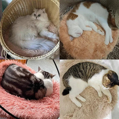Coussin Chat | Mimidoux ™