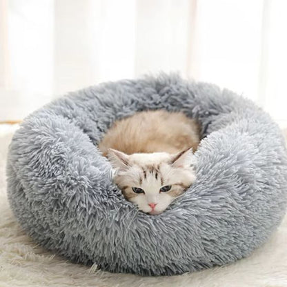 Coussin Chat | Pattidoux™