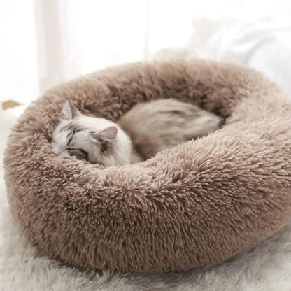 Coussin Chat | Pattidoux™