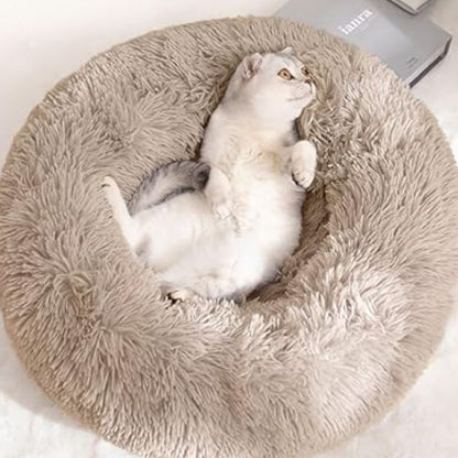 Coussin Chat | Pattidoux™
