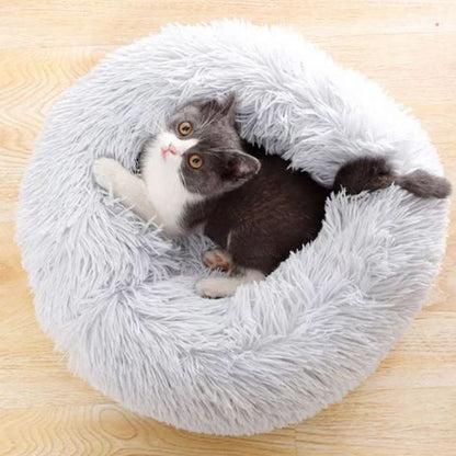 Coussin Chat | Pattidoux™