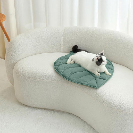 coussin chat reposant chat