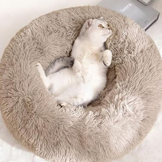 coussin chat rond