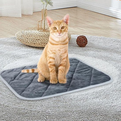 Coussin pour chat |CatTherm ™