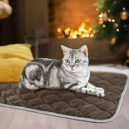 Coussin pour chat |CatTherm ™