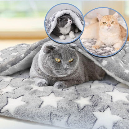 Coussin pour Chat | Couvertin ™