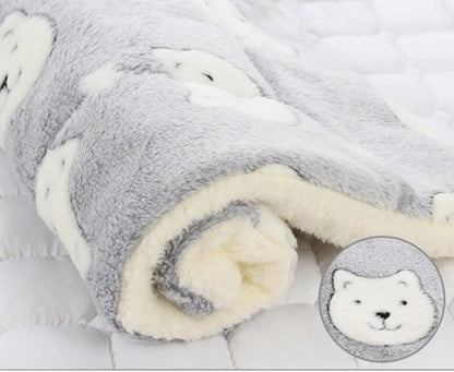 Coussin pour Chat | Couvertin ™