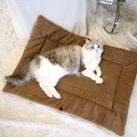 coussin pour chat deux formes
