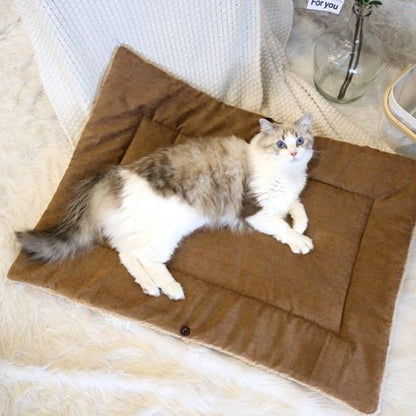 coussin pour chat deux formes