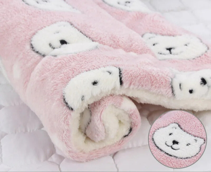 coussin pour chat forme carre