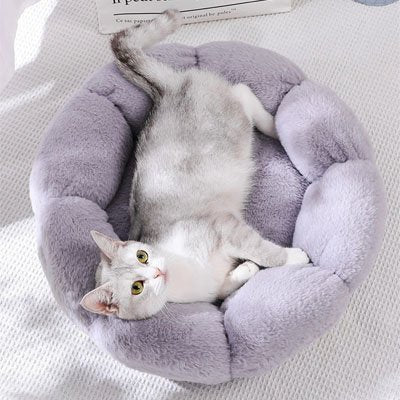 coussin pour chat gris fleur