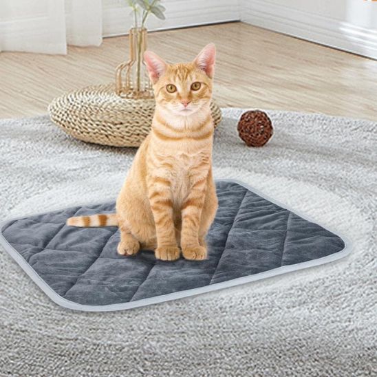 coussin pour chat isolant