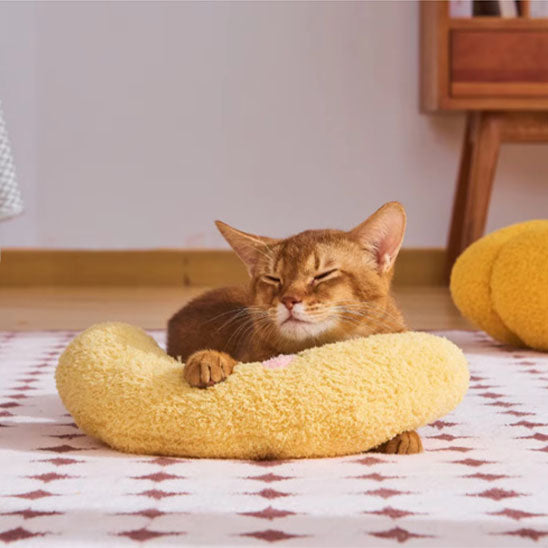 coussin pour chat jaune