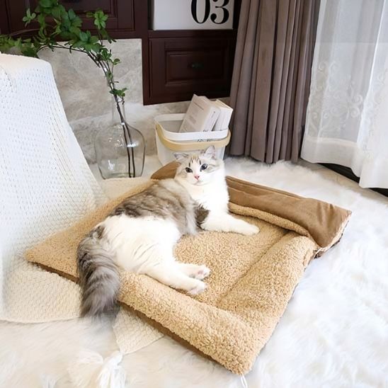 coussin pour chat tapis
