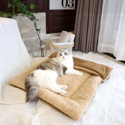 coussin pour chat tapis