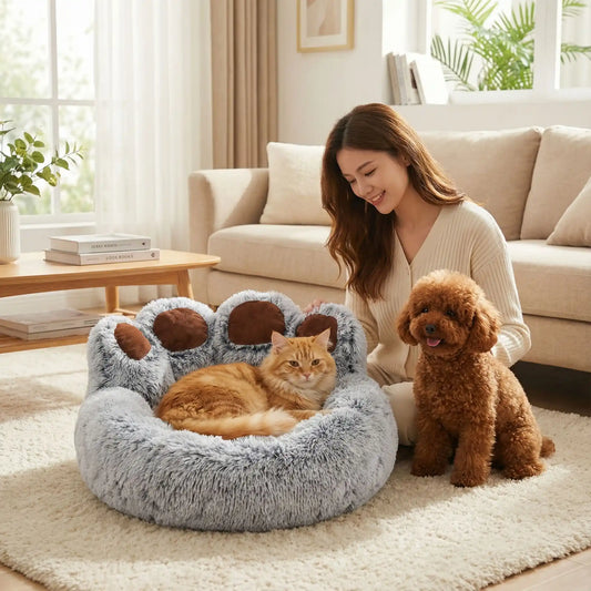 femme regarde panier original chat salon