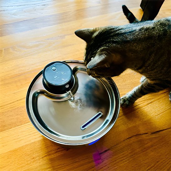 Fontaine à eau chat automatique acier inoxydable 3,2 litres