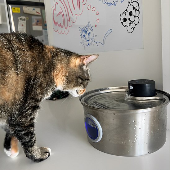 Fontaine à eau chat intelligente pour chat avec capteur de mouvement et LED