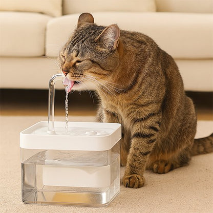 Fontaine à eau chat pompe silencieuse moteur discret