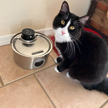Fontaine à eau chat rechargeable pour chat 3,2L - 45 jours d'autonomie