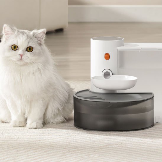 Fontaine a eau chat rechargeable USB-C