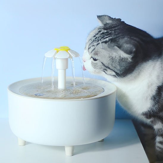 Fontaine à eau chat  silencieuse avec moteur discret et écoulement en cascade