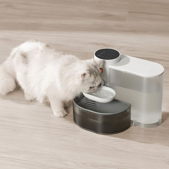 Fontaine a eau chat  silencieuse batterie 180 jours