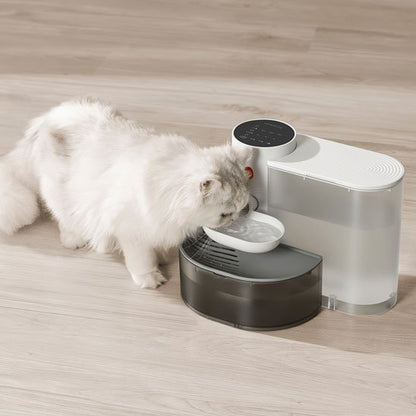 Fontaine a eau chat  silencieuse batterie 180 jours
