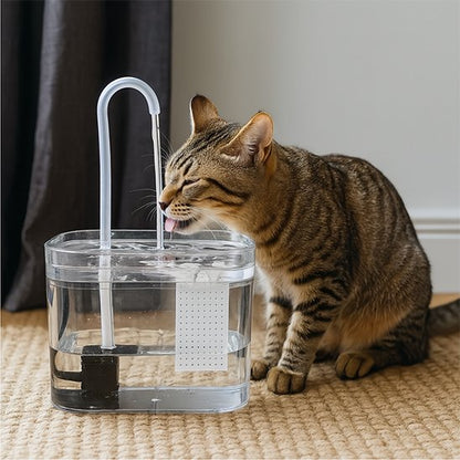 Fontaine à eau chat​ transparente 1,5 L silencieuse