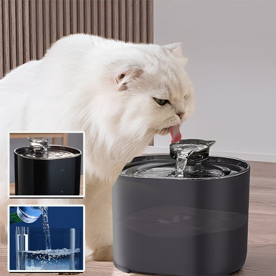 Fontaine eau chat cascade USB avec couvercle transparent et filtration intégrée