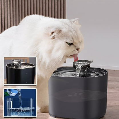 Fontaine eau chat cascade USB avec couvercle transparent et filtration intégrée