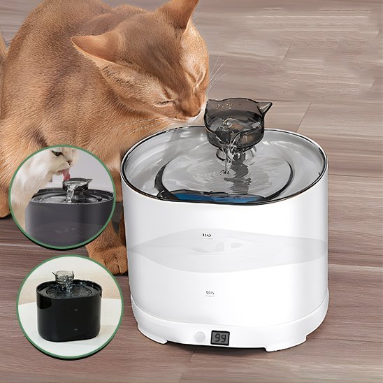 Fontaine eau chat 2,2L avec système de filtration et design félin ludique