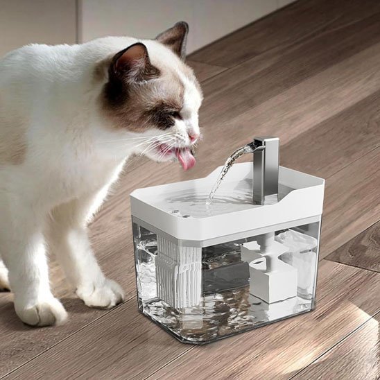 Fontaine eau pour chat automatique avec filtre visible, réservoir transparent et robinet surélevé
