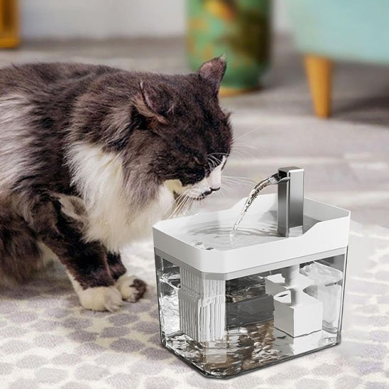 Fontaine eau pour chat transparent à écoulement continu, réservoir détachable 1,5 litres